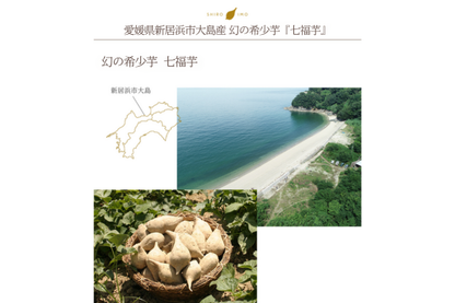 【送料込】芋マニアのためのプリン