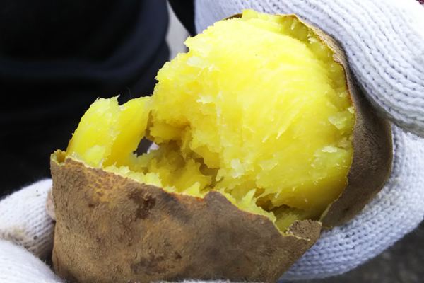 【送料込】芋マニアのためのプリン