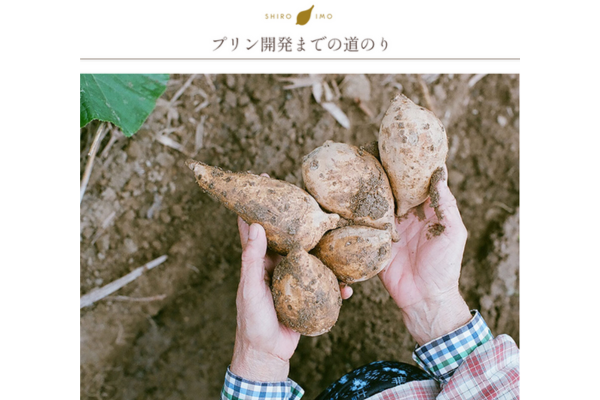 【送料込】芋マニアのためのプリン