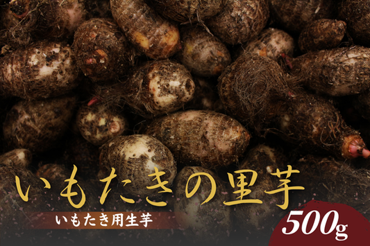 【送料込】土居のいもたきの里芋（生芋・伊予美人）